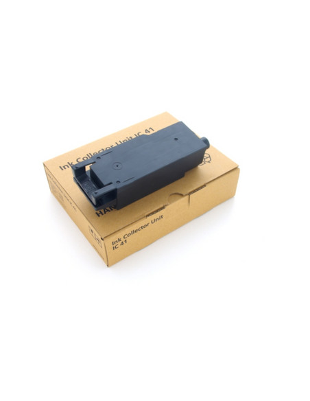 405783 IC 41