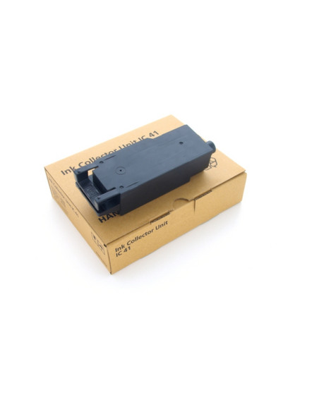 405783 IC 41